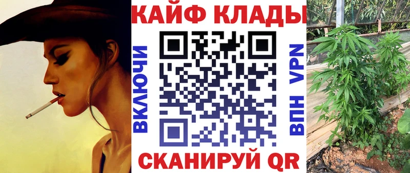 Где купить наркотики Завитинск Амфетамин  МЕФ  КОКАИН  A PVP  Псилоцибиновые грибы  Марихуана  Гашиш 
