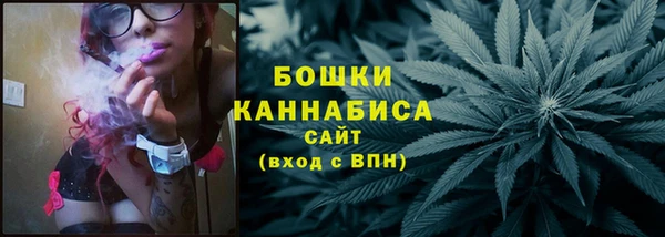 PSILOCYBIN Горнозаводск