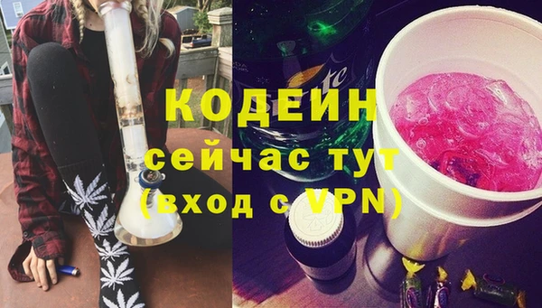 ГАЛЛЮЦИНОГЕННЫЕ ГРИБЫ Горно-Алтайск