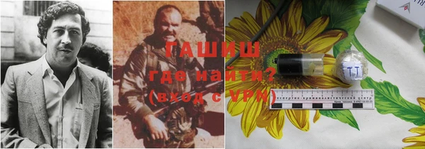 ГАЛЛЮЦИНОГЕННЫЕ ГРИБЫ Горно-Алтайск