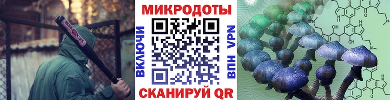 Псилоцибиновые грибы GOLDEN TEACHER  Завитинск 